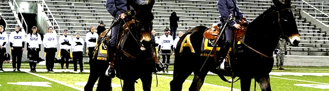 Army West Point Black Knights