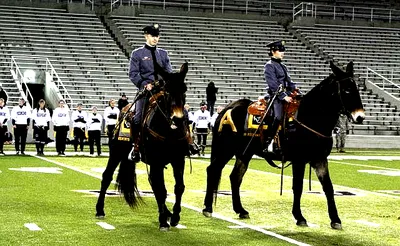 Army West Point Black Knights