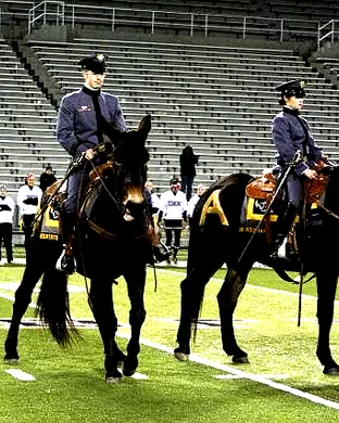 Army West Point Black Knights