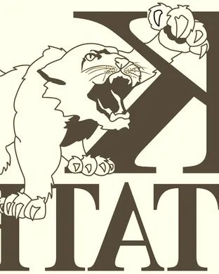 Kansas State Wildcats