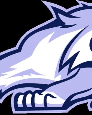 New Hampshire Wildcats