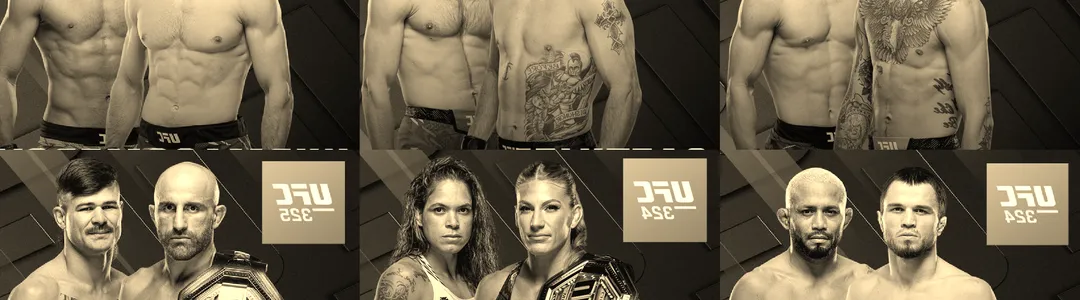 UFC 328