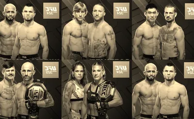 UFC 328