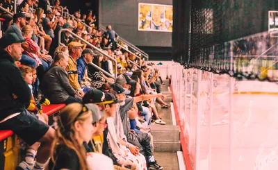 Vegas Golden Knights