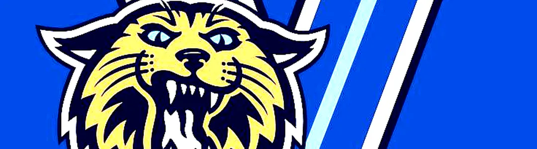 Villanova Wildcats